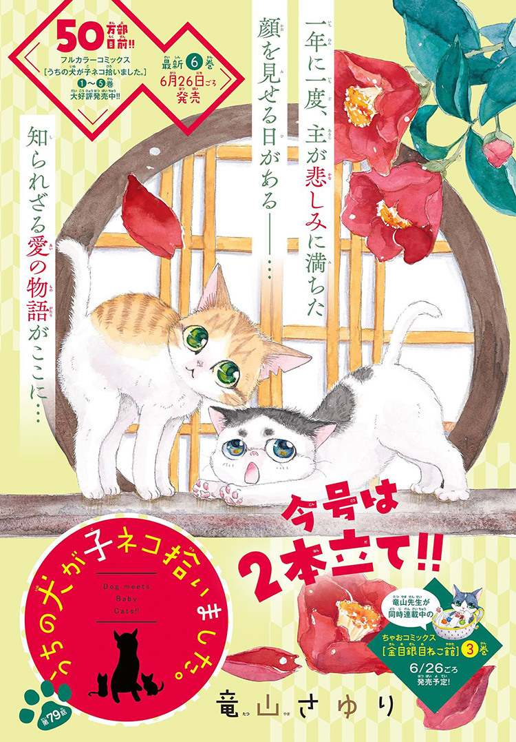 うちの犬が子ネコ拾いました。 2 【新発売】 - 女性漫画